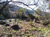  1538781-7060annonce220230209kkMyp.jpeg Maisons Open