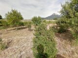  1540315-7048annonce120230210SgFxX.jpeg Maisons Open