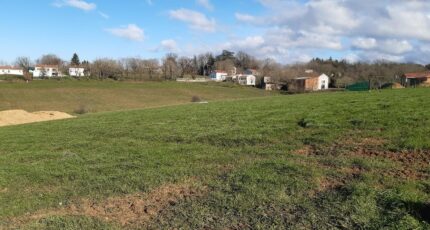 Albi Terrain à bâtir - 1540249-10419annonce120230210AvhyV.jpeg Maisons Open