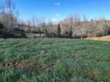  1540249-10419annonce220230210xR8y6.jpeg Maisons Open
