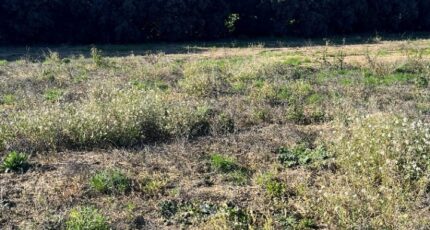Aubagne Terrain à bâtir - 1541396-9836annonce320230213aCk21.jpeg Maisons Open