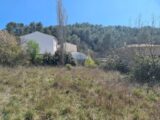  1541558-9836annonce1202302136Ww2C.jpeg Maisons Open