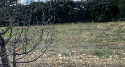 Lançon-Provence Terrain à bâtir - 1543001-3969annonce2202302146n10S.jpeg Maisons Open