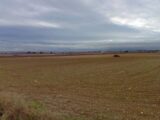  1540036-665annonce120230210RGkDd.jpeg Maisons Open