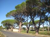  1540078-665annonce120230210L1q3k.jpeg Maisons Open