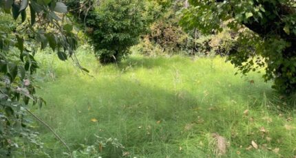 Cadenet Terrain à bâtir - 1542345-7054annonce320230214RTStU.jpeg Maisons Open