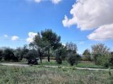  1543105-6202annonce1202210111BGBR.jpeg Maisons Open