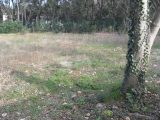  1541119-3243annonce120230212VzPA5.jpeg Maisons Open