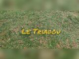  1542901-3243annonce1202206146LQ8e.jpeg Maisons Open