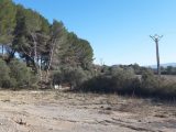  1544662-7051annonce120230215b3hoM.jpeg Maisons Open