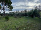  1544968-2970annonce120230216pa25v.jpeg Maisons Open
