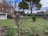  1544968-2970annonce2202302167BQpP.jpeg Maisons Open