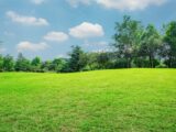  1546912-9993annonce12023021783dhp.jpeg Maisons Open