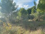  1546958-7060annonce2202210188xoGG.jpeg Maisons Open