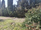  1548177-1836annonce120230220hzJ8a.jpeg Maisons Open