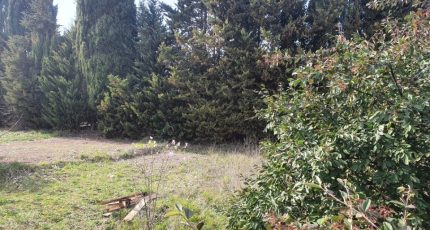 Valbonne Terrain à bâtir - 1548177-1836annonce120230220hzJ8a.jpeg Maisons Open