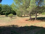  1547459-4002annonce320220919A1uwR.jpeg Maisons Open