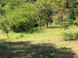  1544228-9637annonce320230217EJxzN.jpeg Maisons Open