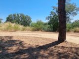  1547770-2970annonce2202302180qi5T.jpeg Maisons Open