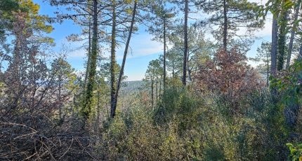 Saint-Paul-en-Forêt Terrain à bâtir - 1548609-9911annonce120230220eIp2v.jpeg Maisons Open