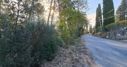 Saint-Paul-en-Forêt Terrain à bâtir - 1548609-9911annonce220230220t8tyc.jpeg Maisons Open