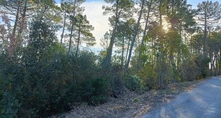 Saint-Paul-en-Forêt Terrain à bâtir - 1548609-9911annonce320230220A0xZT.jpeg Maisons Open