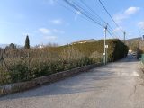  1548688-9911annonce220230220ZHNsD.jpeg Maisons Open