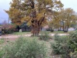  1549699-5622annonce420230221N5vH1.jpeg Maisons Open