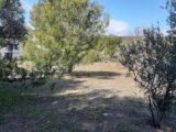  1549327-7067annonce120230221aHvEL.jpeg Maisons Open