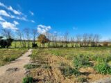  1547622-3133annonce120230217rDkox.jpeg Maisons Open