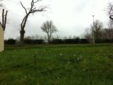  1550040-3855annonce120230222qJfGP.jpeg Maisons Open