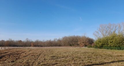 Lherm Terrain à bâtir - 1551316-3133annonce220230223lWFgF.jpeg Maisons Open