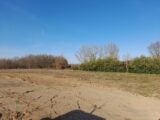  1551324-3133annonce420230223aUqVr.jpeg Maisons Open