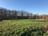  1548199-4539annonce120230220ceh5t.jpeg Maisons Open