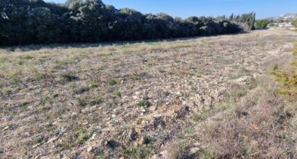 Lançon-Provence Terrain à bâtir - 1551688-7060annonce220230301D4SqR.jpeg Maisons Open