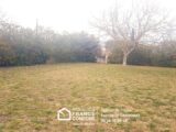 1551900-3701annonce120230223ZNsk0.jpeg Maisons Open