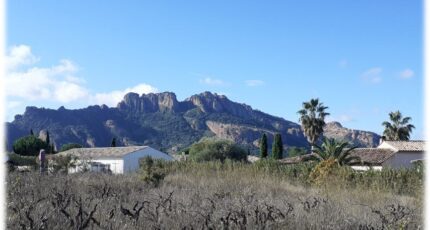 Roquebrune-sur-Argens Terrain à bâtir - 1551459-9911annonce120230223qS2kt.jpeg Maisons Open
