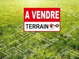  1542226-9331annonce120230213KI666.jpeg Maisons Open