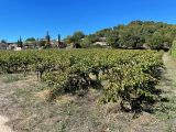  1554996-7289annonce3202302286cfwg.jpeg Maisons Open