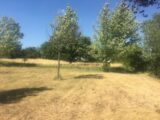  1554608-6932annonce120221021sWOF0.jpeg Maisons Open