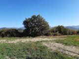  1554616-6932annonce120221021oENdi.jpeg Maisons Open