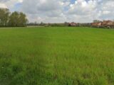  1554704-10063annonce120230228naIqF.jpeg Maisons Open
