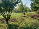  1555449-4667annonce120230228zg1cJ.jpeg Maisons Open
