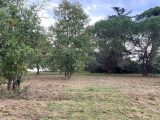  1522362-10327annonce120230123bi6TE.jpeg Maisons Open