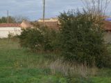  1553025-10327annonce1202302243zpeL.jpeg Maisons Open