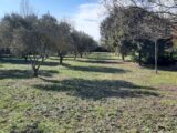  1556196-609annonce120230301sbetz.jpeg Maisons Open