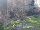  1557886-3701annonce220230303OKzem.jpeg Maisons Open