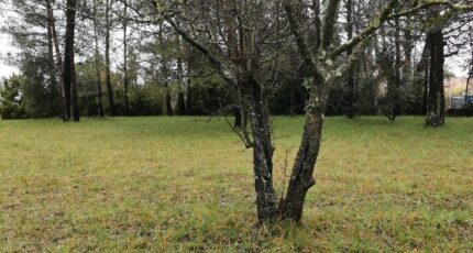 Saint-Paul-en-Forêt Terrain à bâtir - 1558160-5826annonce120230303ZKZn9.jpeg Maisons Open