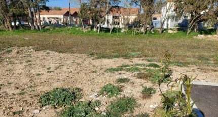 Graveson Terrain à bâtir - 1559946-4667annonce120230307T9QrZ.jpeg Maisons Open