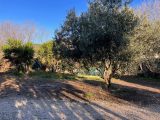  1559537-649annonce320230306Zy45x.jpeg Maisons Open